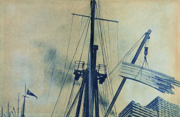 Мы из Игарки. Книга, написанная пионерами Заполярья по замыслу и плану Алексея Максимовича Горького. М.-Л., 1938.